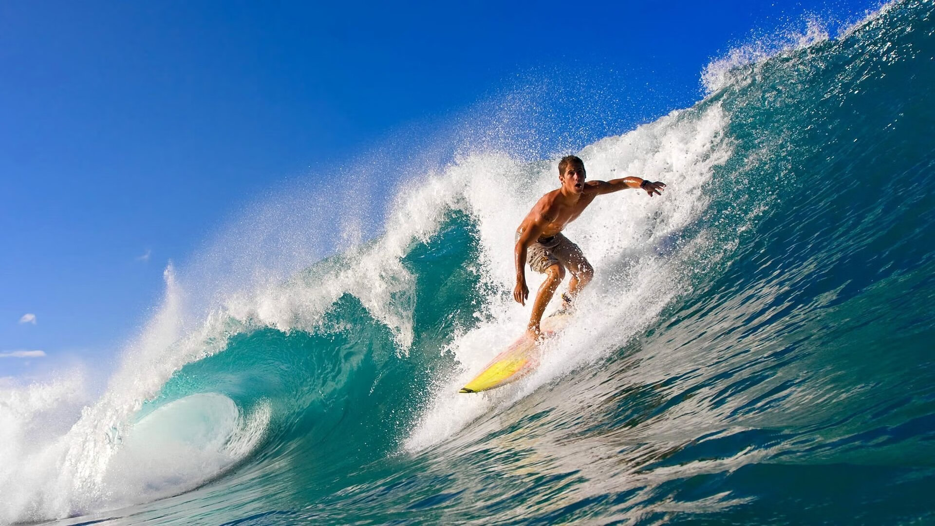 王宗源跳水动作协调精准,王宗源跳水3米板摘金